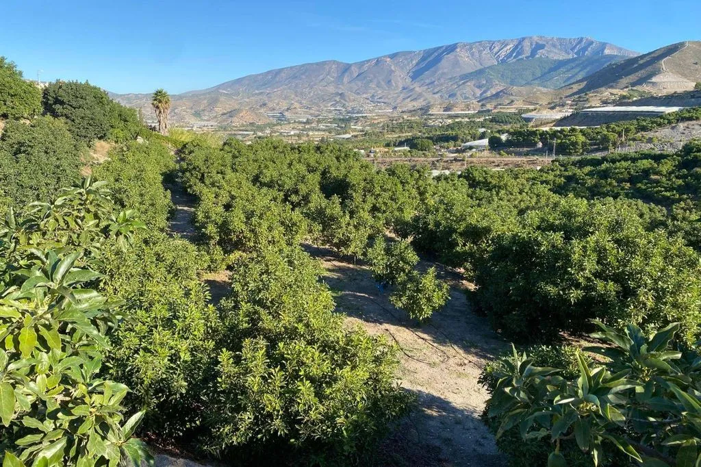 Aed - Luxury Farmhouse with Pool in Motril