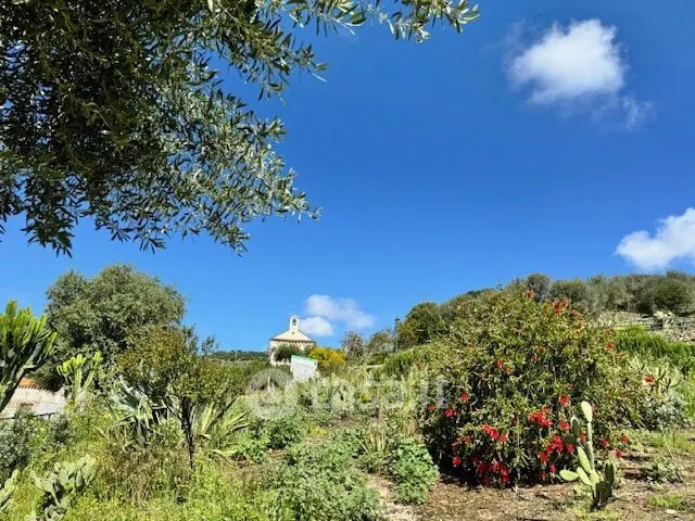 Aed - Rustic Farmhouse with Private Garden in Modolo