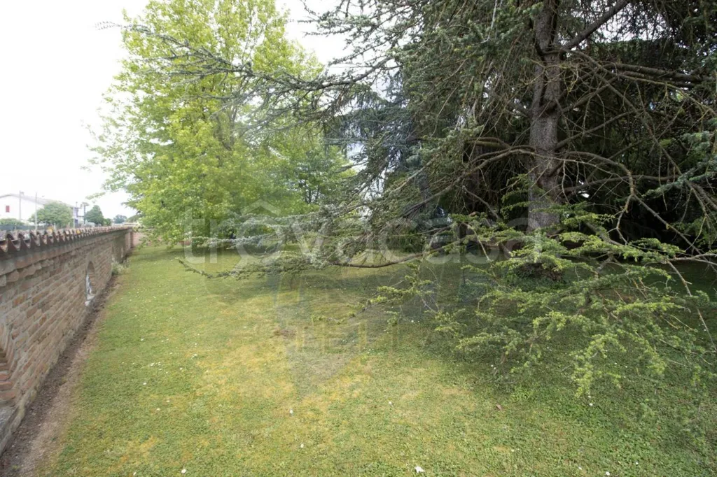 Jardin - Rustic Villa with Garden in Riva del Po