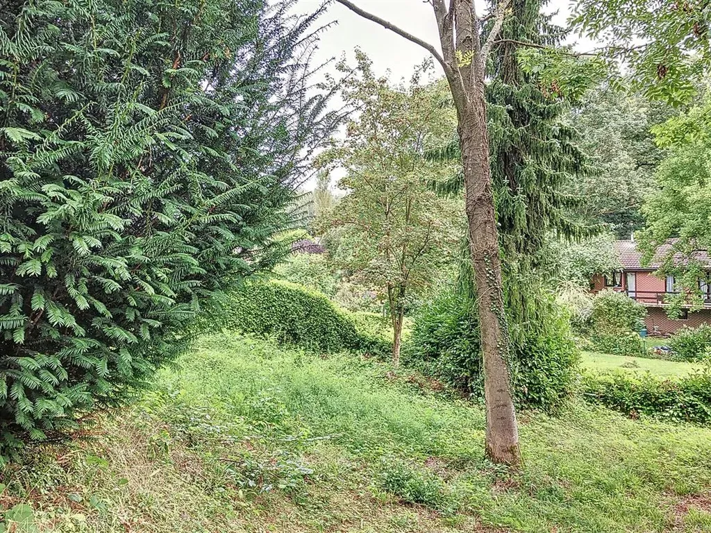 Jardin - Terrain à Bâtir en Zone d'Habitat à Morlanwelz-Mariemont