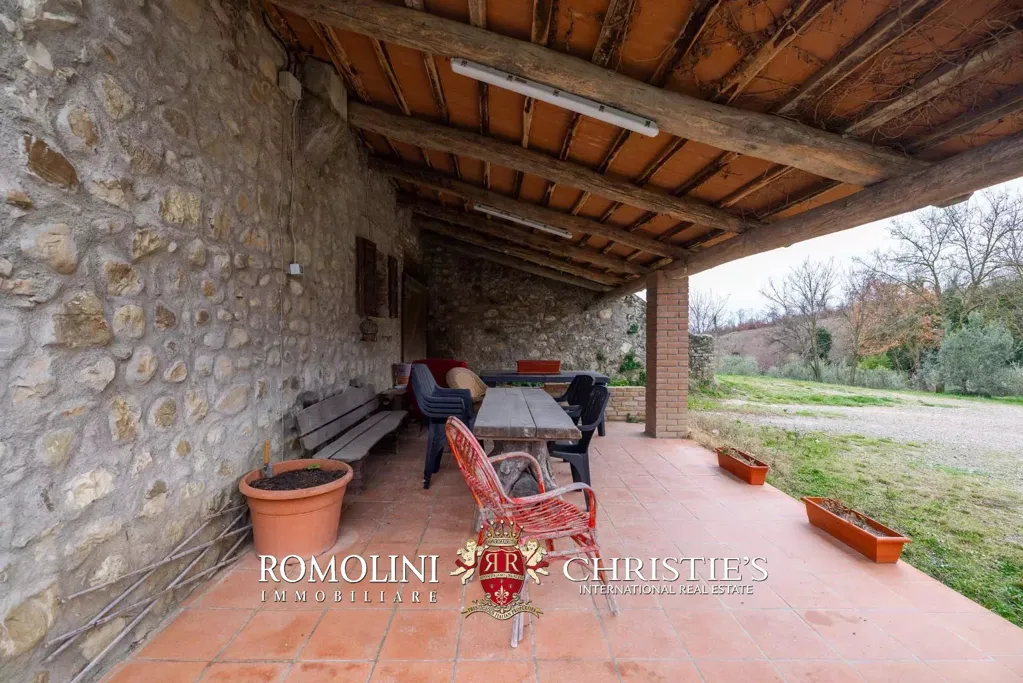 Terrass - Rustic Casale with Vineyard near Orvieto