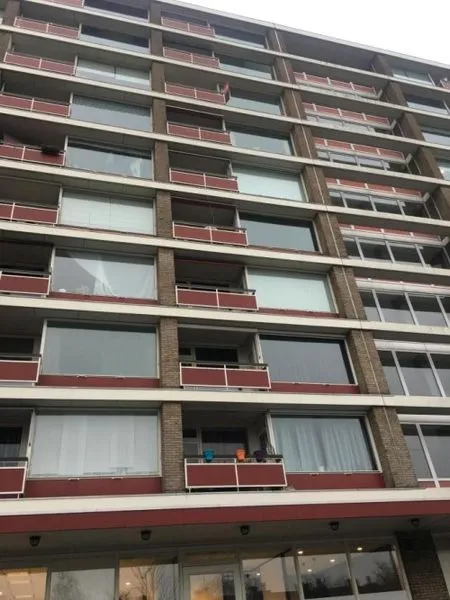 Extérieur - Studio Flat with Balcony in Leiden