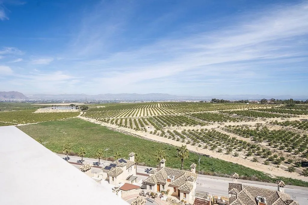 Aed - Luxury Villa with Private Pool in Algorfa
