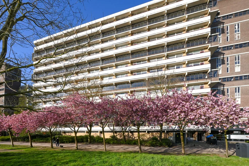 4-toaline korter asukohas Rijswijk (ZH)