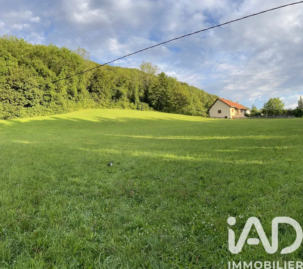 Giardino - Buildable Land with Paved Access in Pannessières