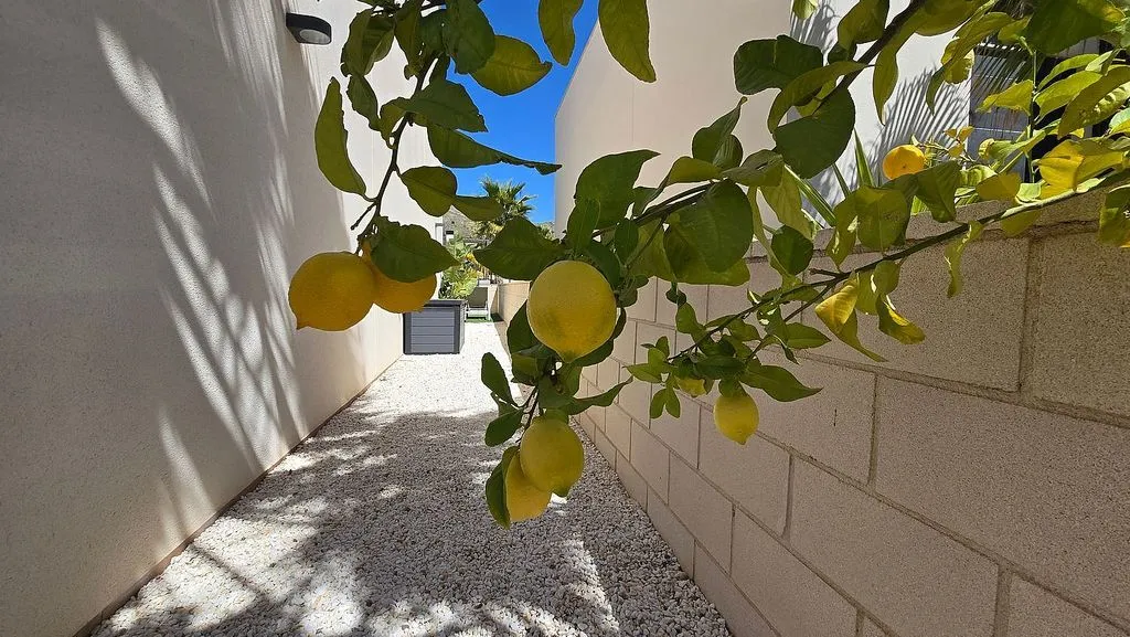 Giardino - Apartment with Private Garden in Finestrat