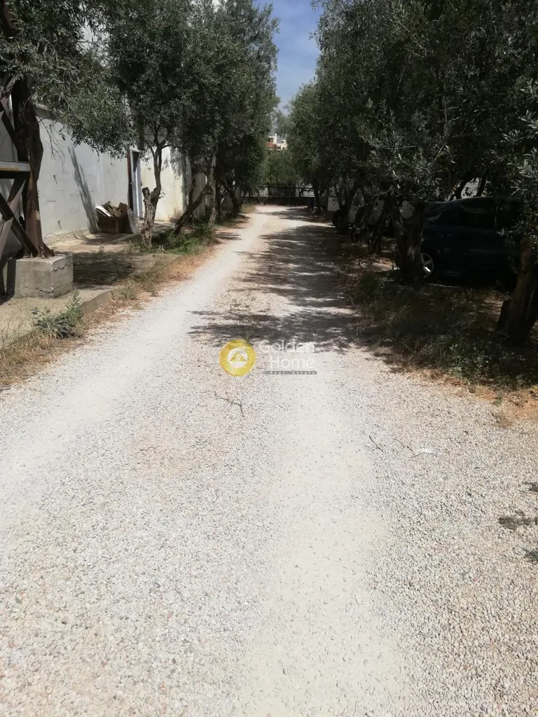 Local commercial à GR