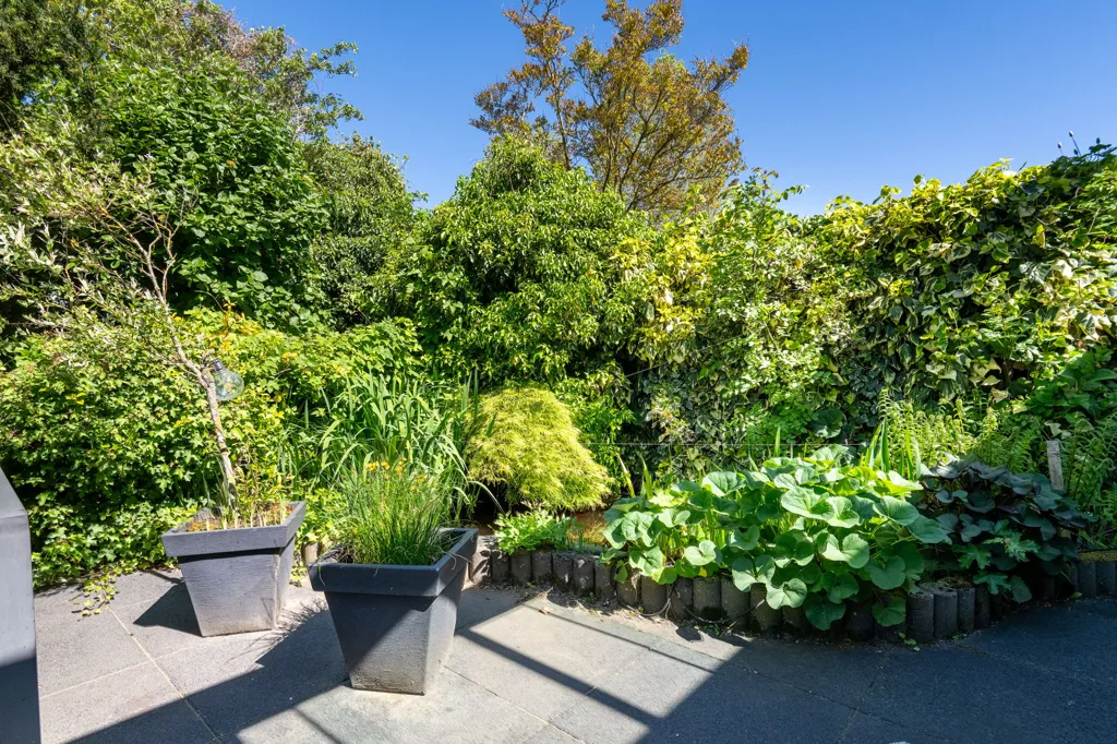 garden