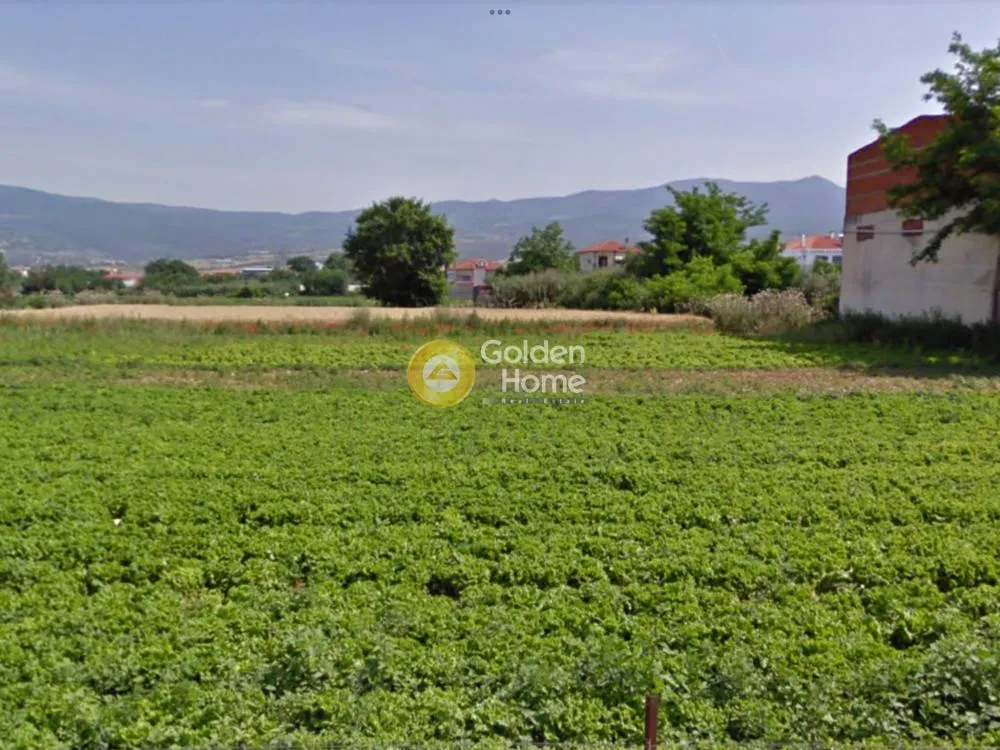 Aed - Central Plot with Large Façade in Vasilika