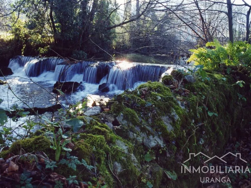 Jardin - Historic Chalet with Spa in Badames, Cantabria