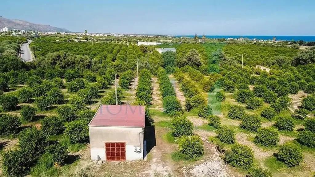 Aed - Warehouse with Lemon Grove near Avola