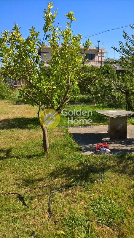 Aed - Detached Villa with Garden in Lefkaina Centre