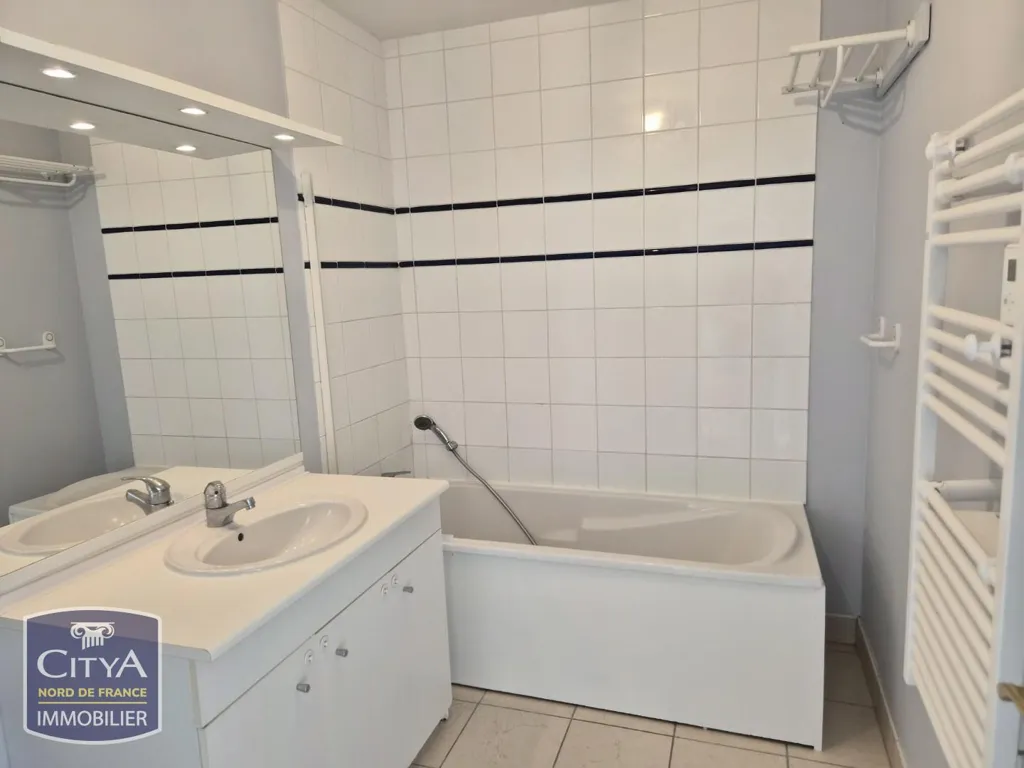 Vannitoad - City Centre Flat near University, Valenciennes