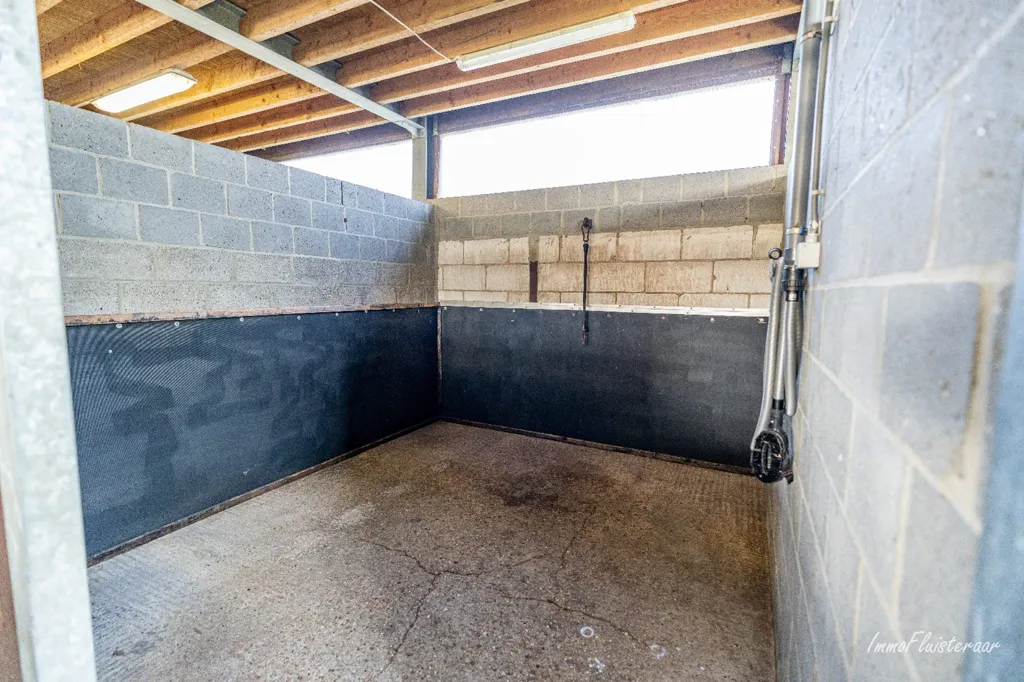 Garage - Maison avec Écuries et Piste Extérieure à Bree