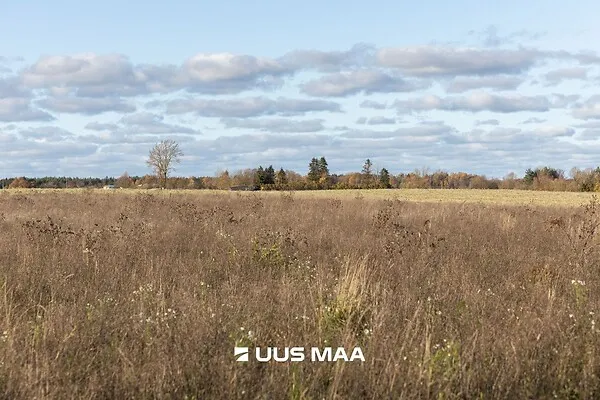 Jardin - Terrain à Lääne-Harju vald