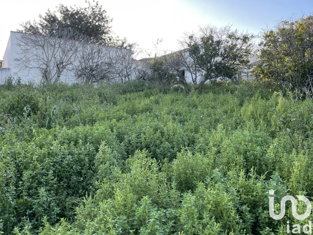 Jardin - Approved Project Land with Panoramic View in Boliqueime