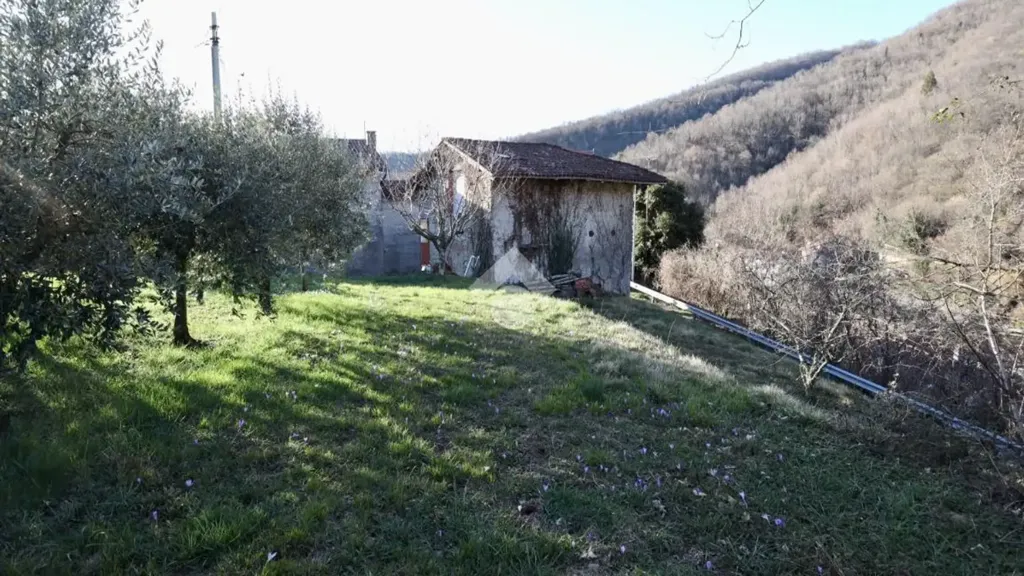 Jardin - Rustic Stone Cottage with Garden in Attimis