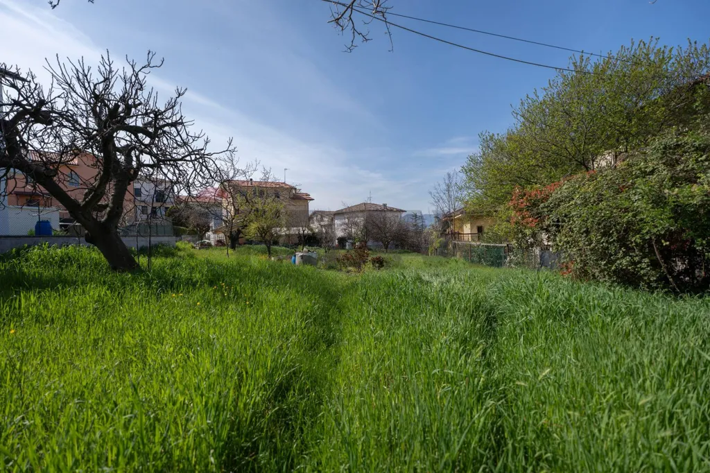 Jardin - Cielo-Terra House with Garden in Cupramontana