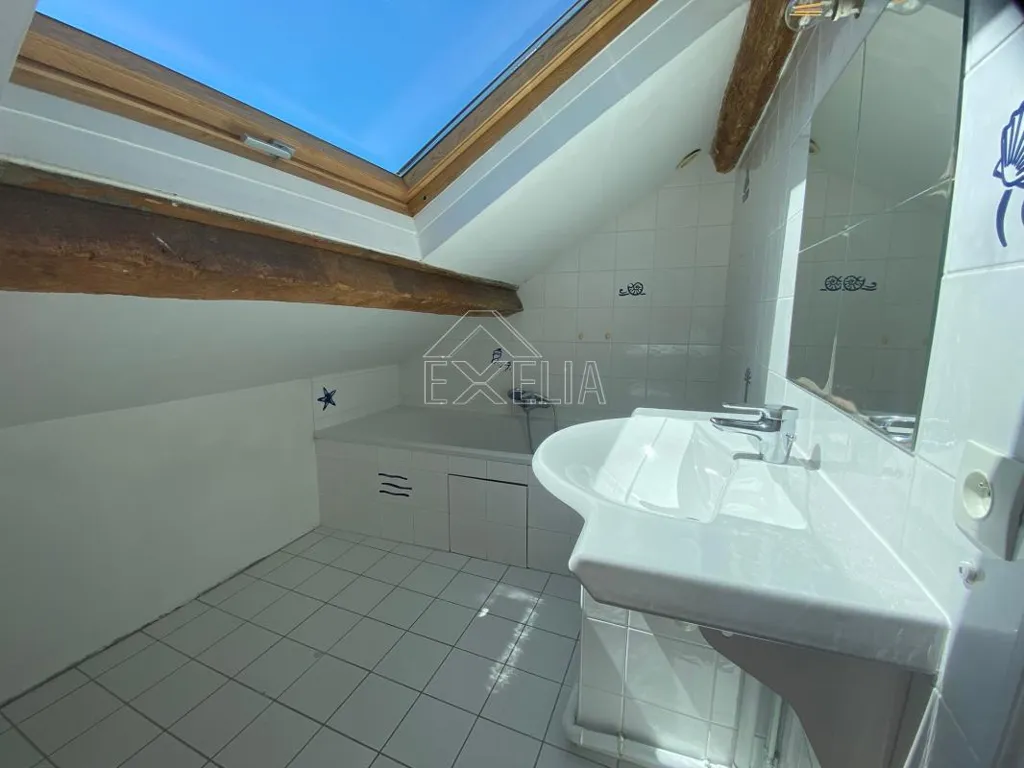 Salles de bain - Maison de Village avec Jardin à Rosay