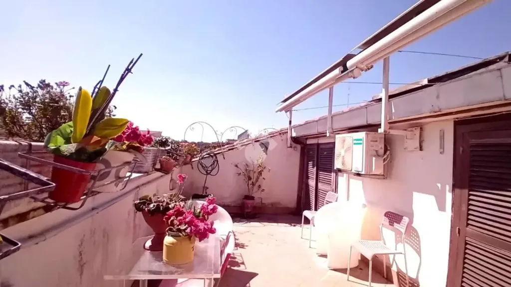 terrace_patio