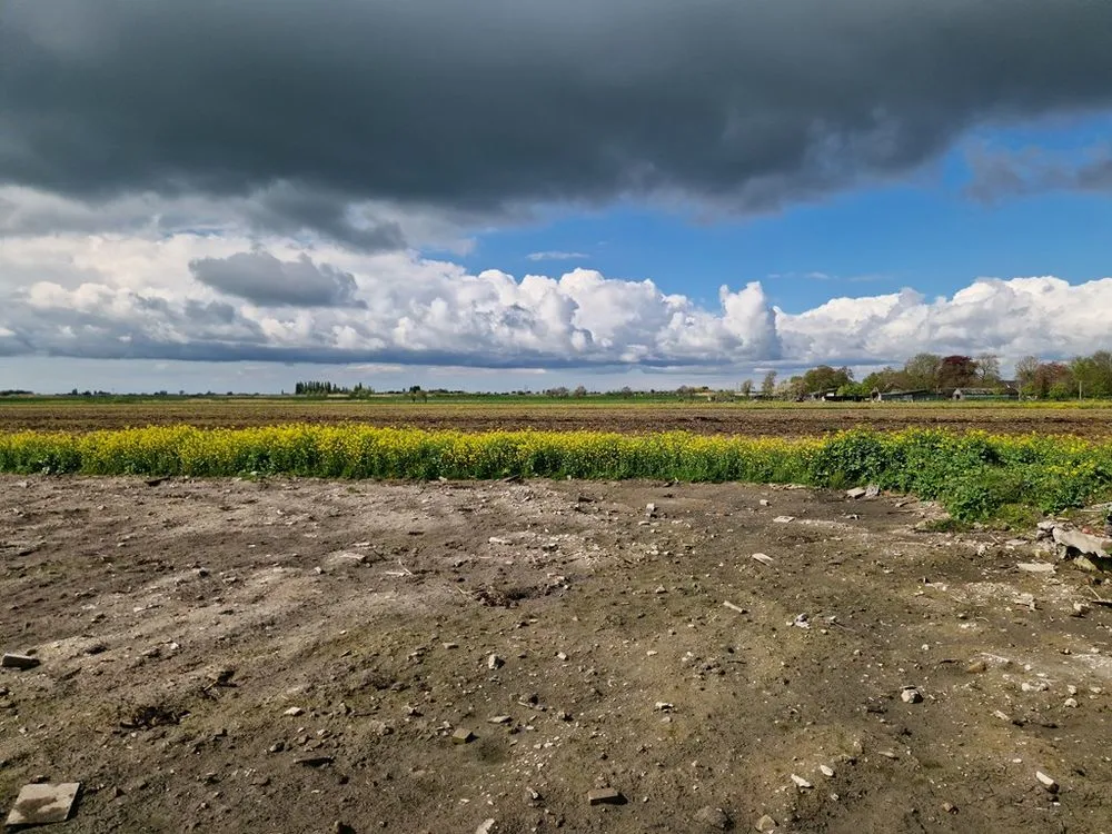 Giardino - Landscaped Building Plot with Privacy in Woubrugge