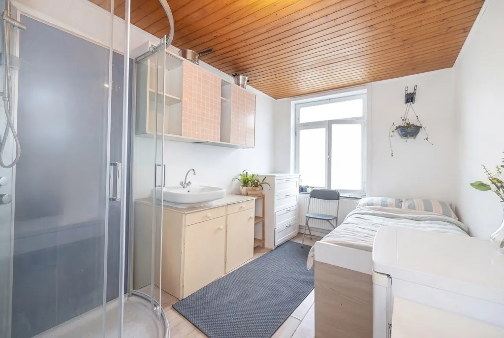 Magamistoad - 5-Bedroom Maison with Terrace in Uccle