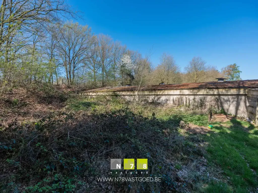 Jardin - Maison libre de plain-pied avec jardin à Maaseik