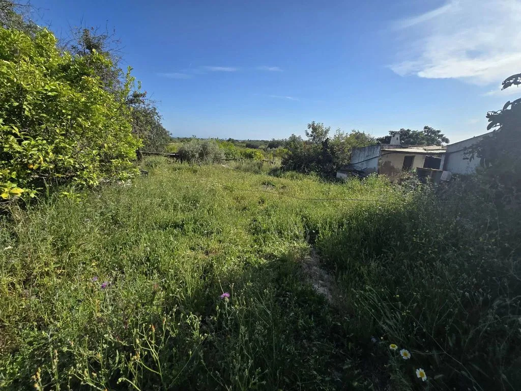 Jardin - Farmhouse with Fruit Trees near Tavira