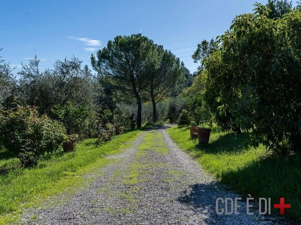 Aed - Country House with Orvieto Cliff View
