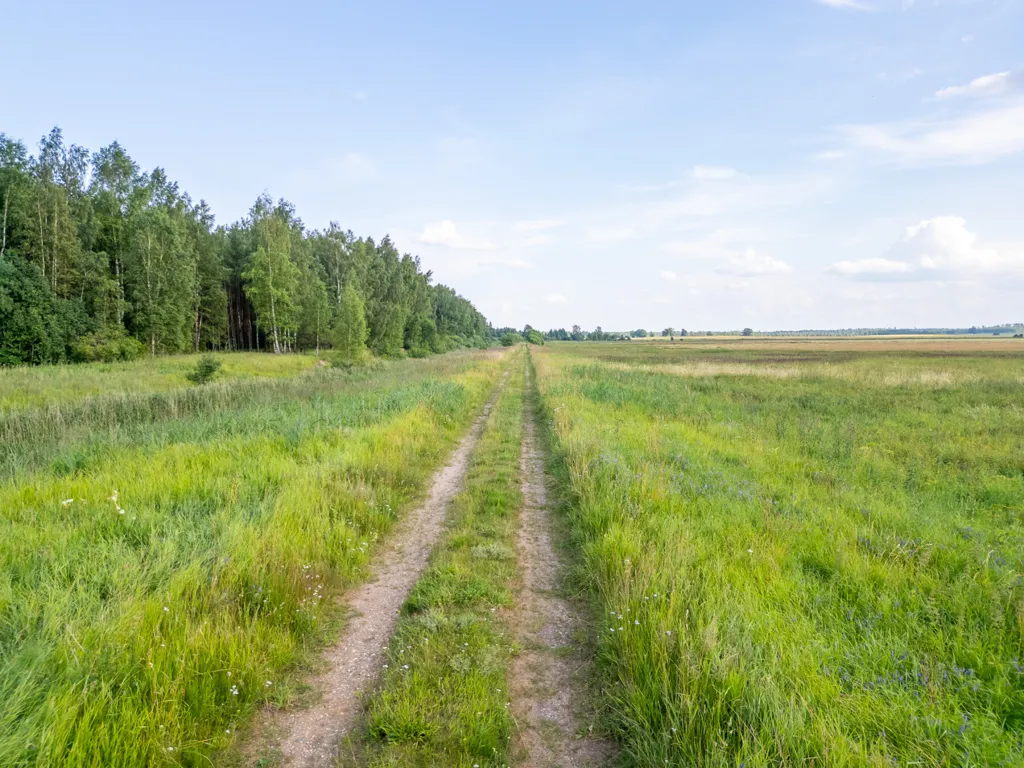 Jardin - Agricultural Land in Valmiera District