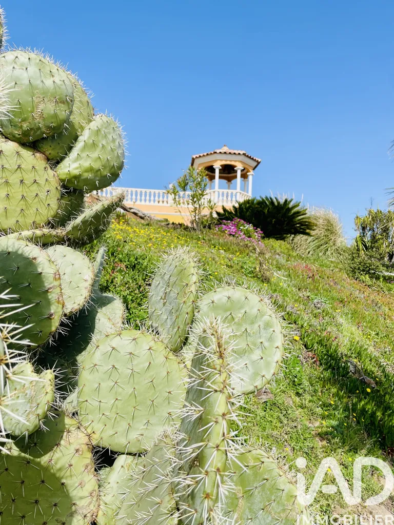 Jardin - Villa Moderne avec Vue Mer à Roquebrune-sur-Argens