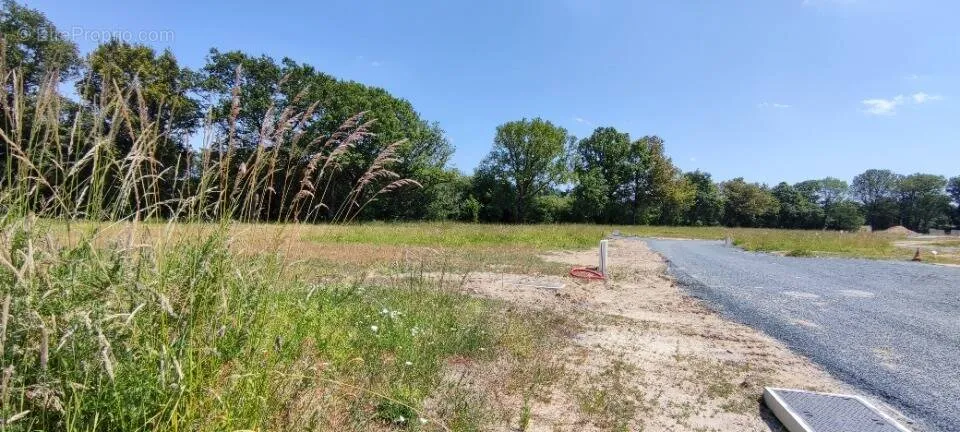 Aed - Buildable Plot with Garden in Baugé