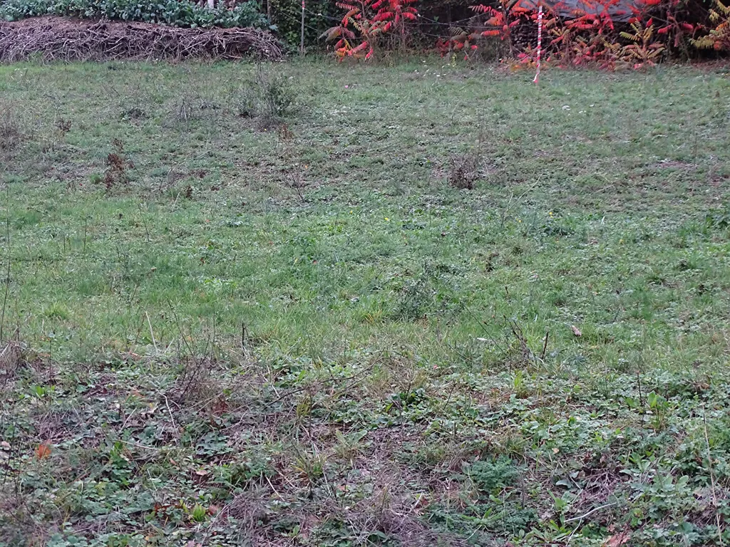 Jardin - Terrain Libre Constructeur avec Vue Dégagée à Vorges-les-Pins