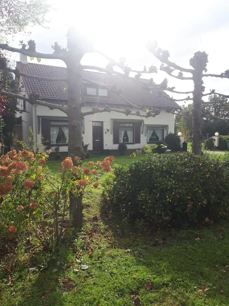 Jardin - Studio in Landhouse near Eindhoven Centre