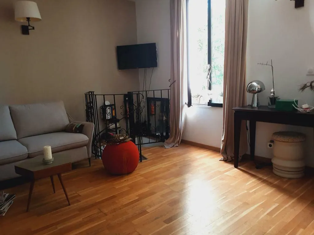 Living Room - Apartment with Terrace in Nogent-sur-Marne