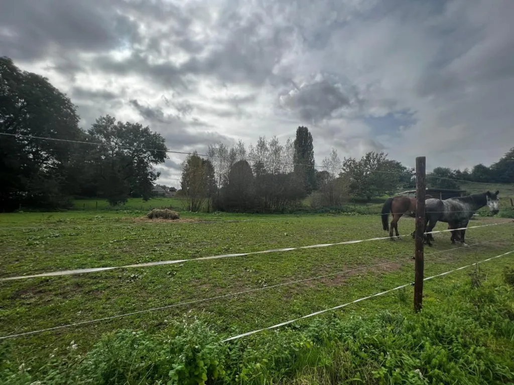 Garden - 2ha Natural Retreat in Rural Setting