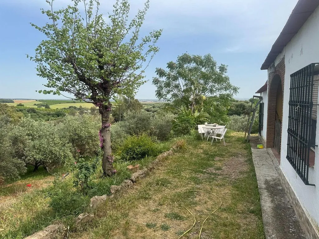 Jardin - Rustic House with Pool and Terrace in Cantillana