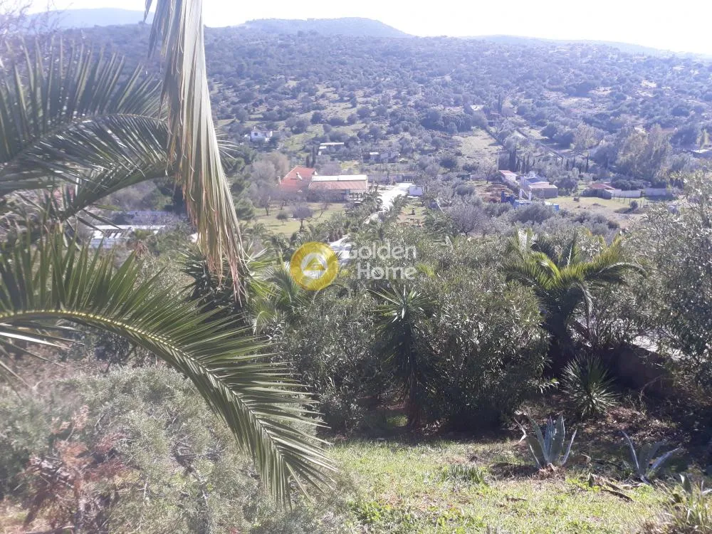 Jardin - Villa with Sea View in Koropi