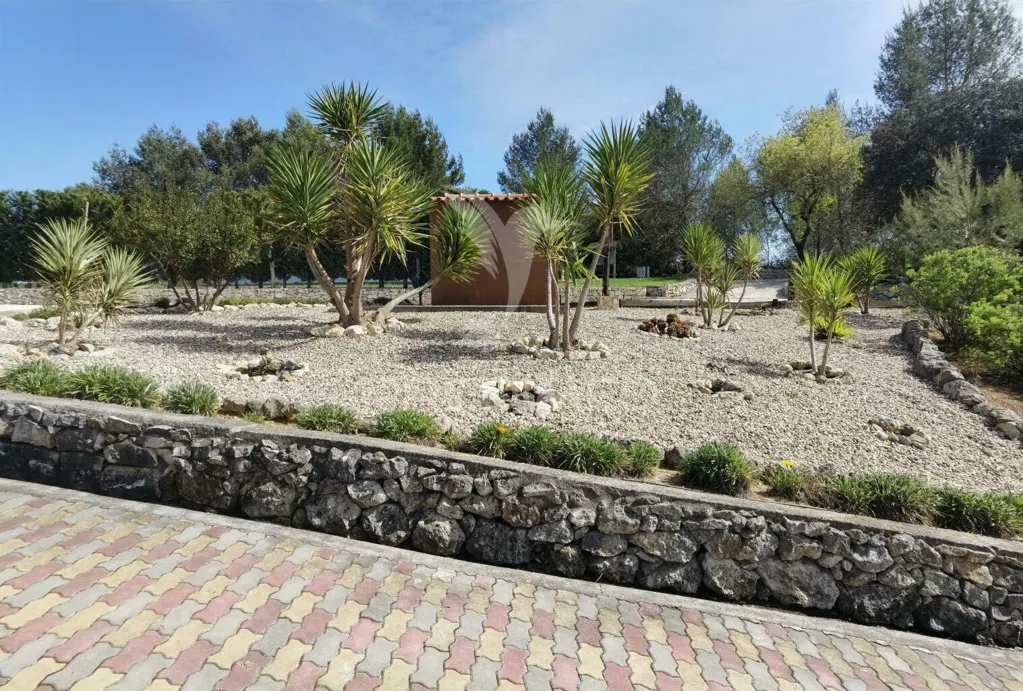 Jardin - Quinta with Olive Grove in Torre do Bispo