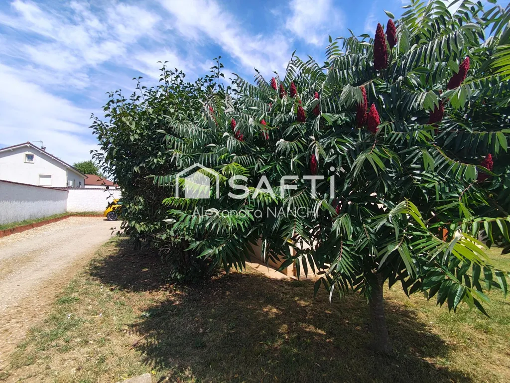 Aed - 5-Bedroom House with Pool in Saint-Vulbas