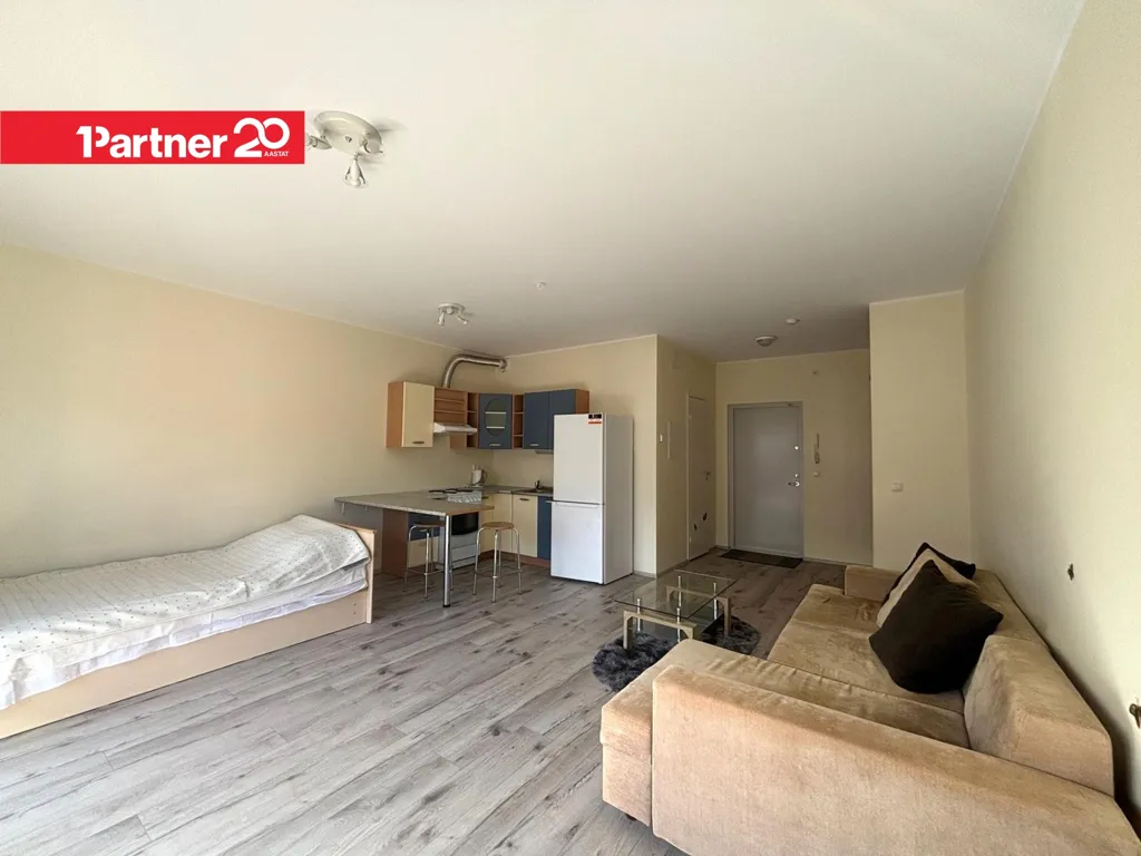 Living Room - Renovated Apartment with Balcony in Viimsi