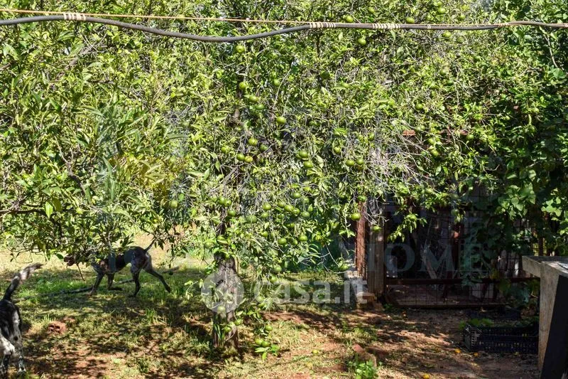 Jardin - Country House with Sea View in Noto