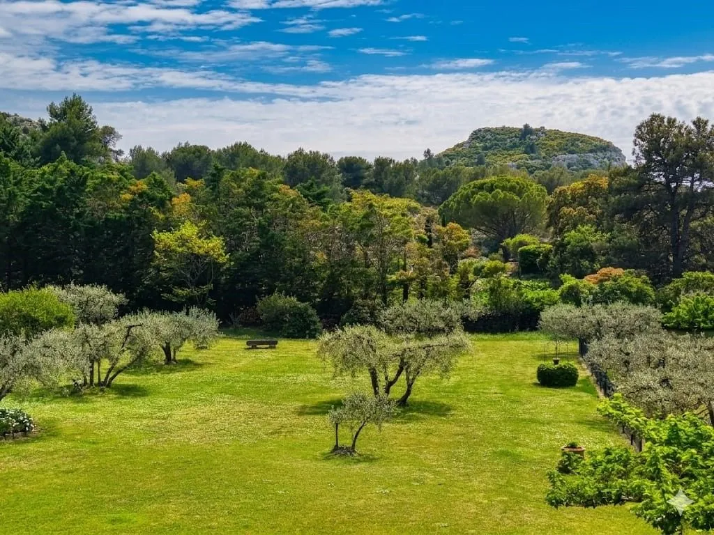 Garden - Luxury House with Pool in Les Baux de Provence