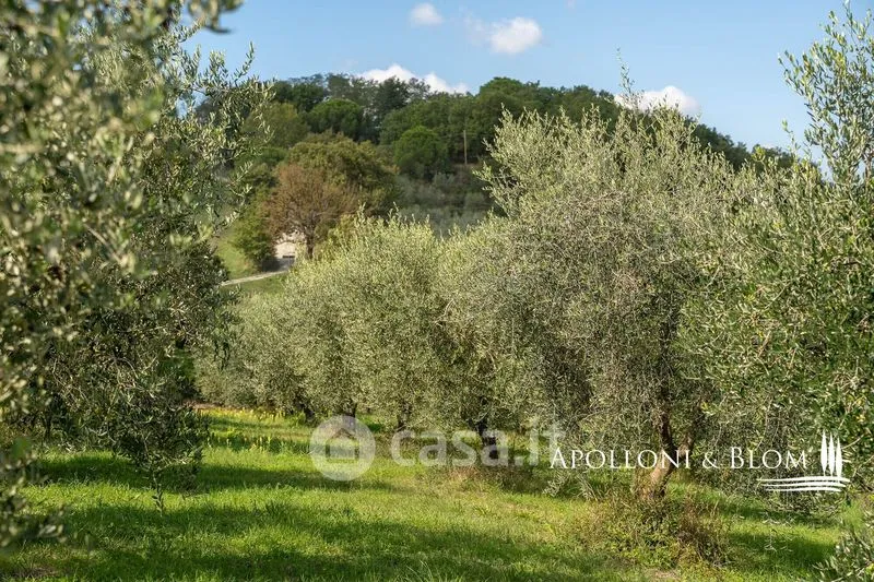 Jardin - Rustic Farmhouse with Pool in Montepulciano