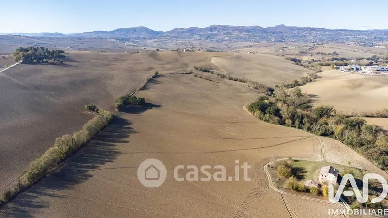 Vista aerea - Traditional Rustico with Olive Trees in Appignano