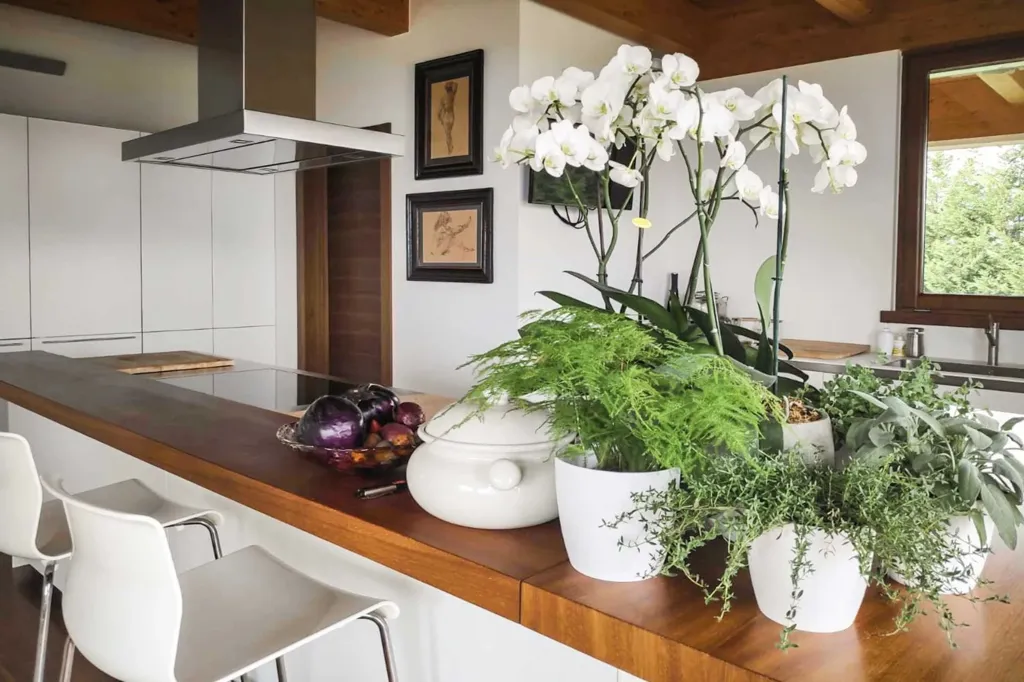 Cuisine - Modern Villa with Pool and Spa near Parma