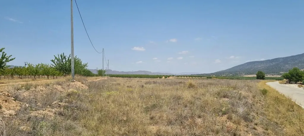 Jardin - Building Plot with Vineyard Views near Yecla