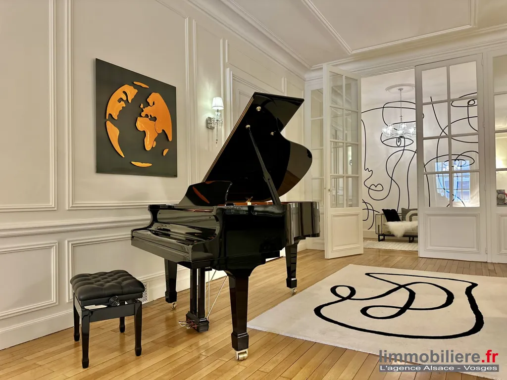 Soggiorno - Luxury Flat with Park Views in Saint-Dié-des-Vosges