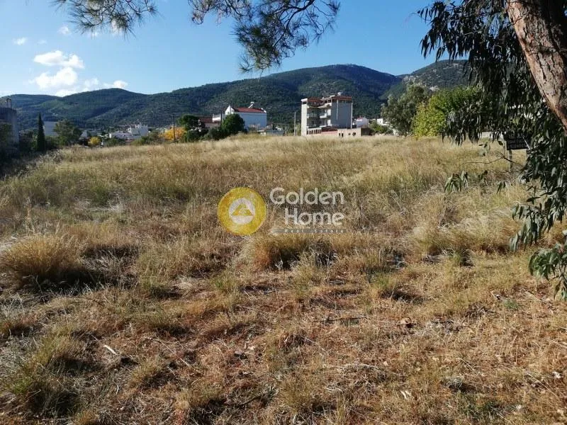 Terrain à GR