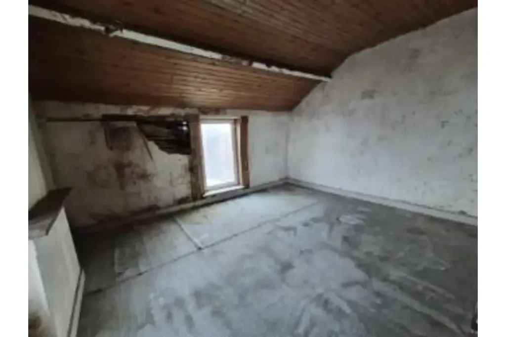 Toad - Renovation Project House in Milmort